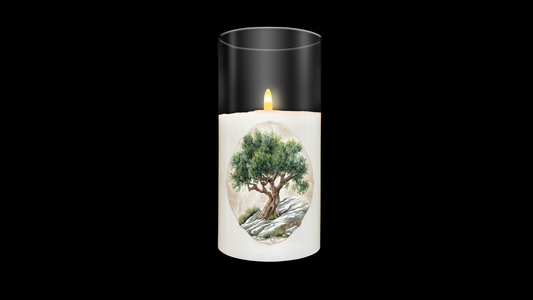 CERO41