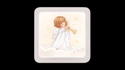 RL17C