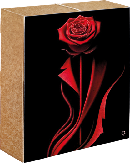 SCAC8 – QUADRO DECORATO CM 34×28
