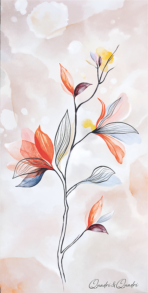 Lilium