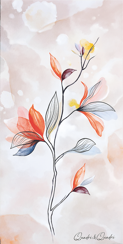 Lilium